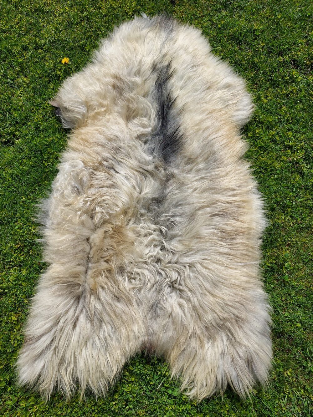 Swedish Sheepskin MELERADE Decorative skins Producent owczych skór dekoracyjnych | Tannery Sheepskin | KalSkór 5