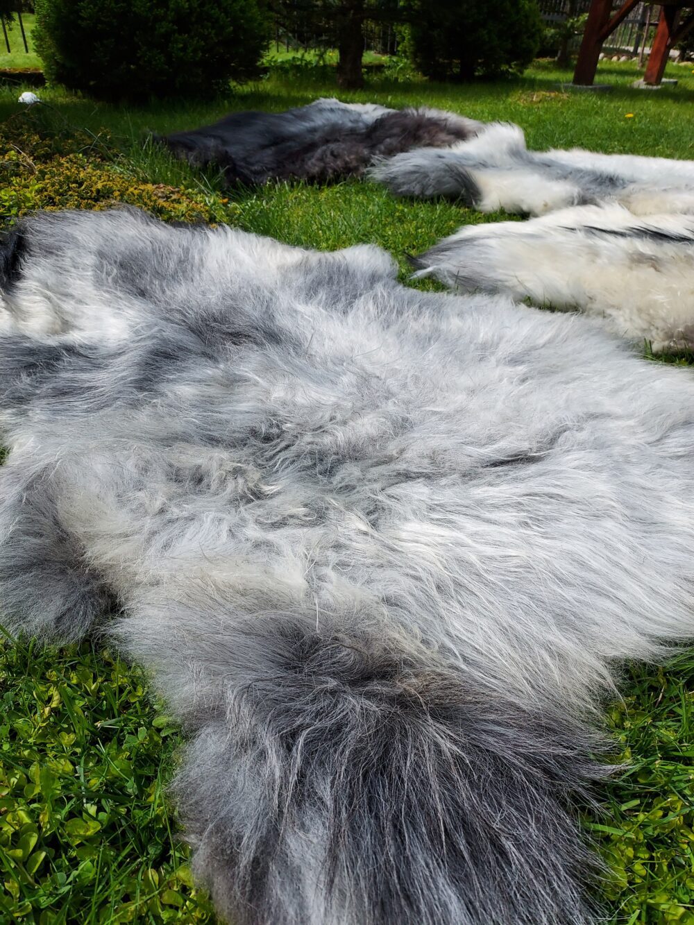 Swedish Sheepskin MELERADE Decorative skins Producent owczych skór dekoracyjnych | Tannery Sheepskin | KalSkór 10