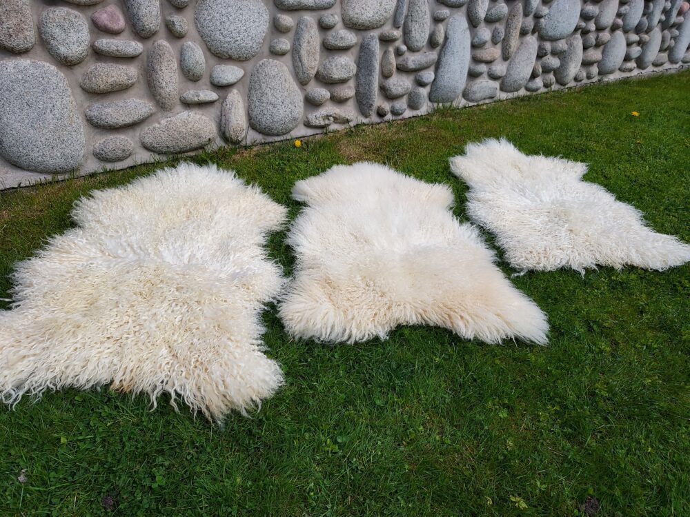 Swedish Sheepskin White Natural Decorative skins Producent owczych skór dekoracyjnych | Tannery Sheepskin | KalSkór 4