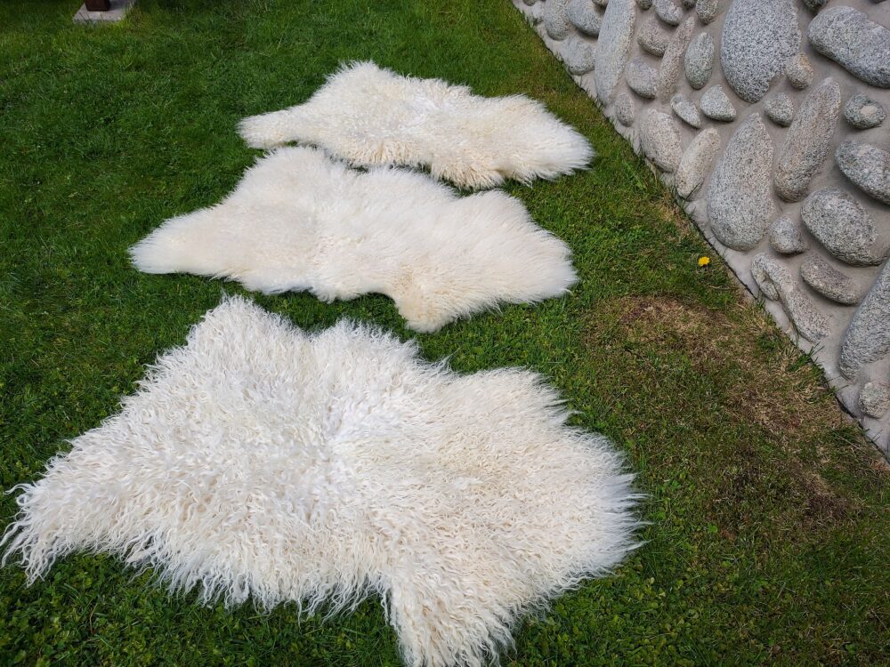 Swedish Sheepskin White Natural Decorative skins Producent owczych skór dekoracyjnych | Tannery Sheepskin | KalSkór 9