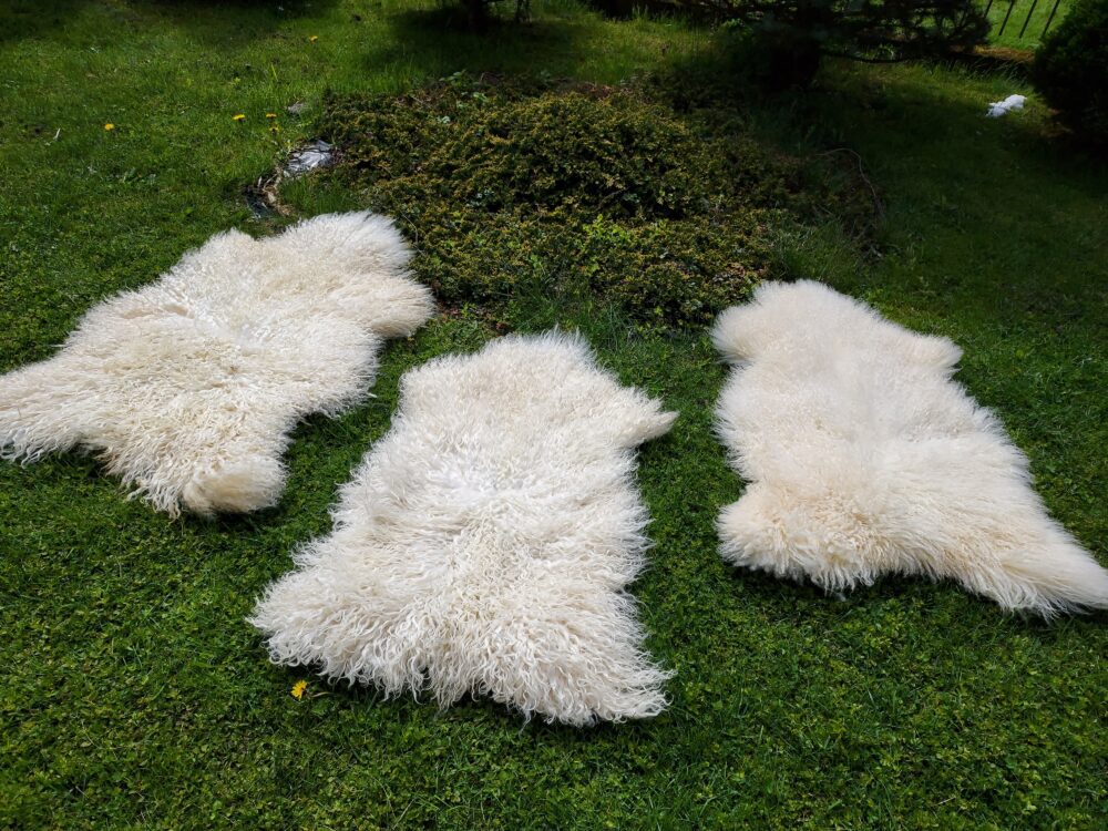 Swedish Sheepskin White Natural Decorative skins Producent owczych skór dekoracyjnych | Tannery Sheepskin | KalSkór 10