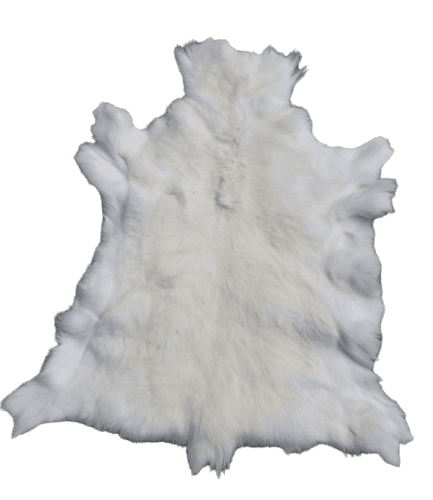 Decorative Albino Reindeer Skin White Reindeer Decorative skins Producent owczych skór dekoracyjnych | Tannery Sheepskin | KalSkór