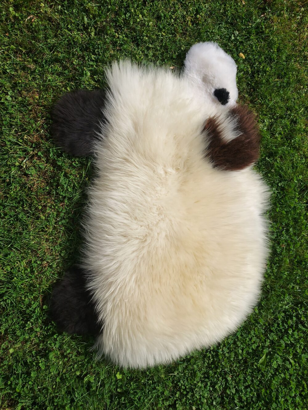 Lamb Natural Sheepskin Rug Accessories Producent owczych skór dekoracyjnych | Tannery Sheepskin | KalSkór 6