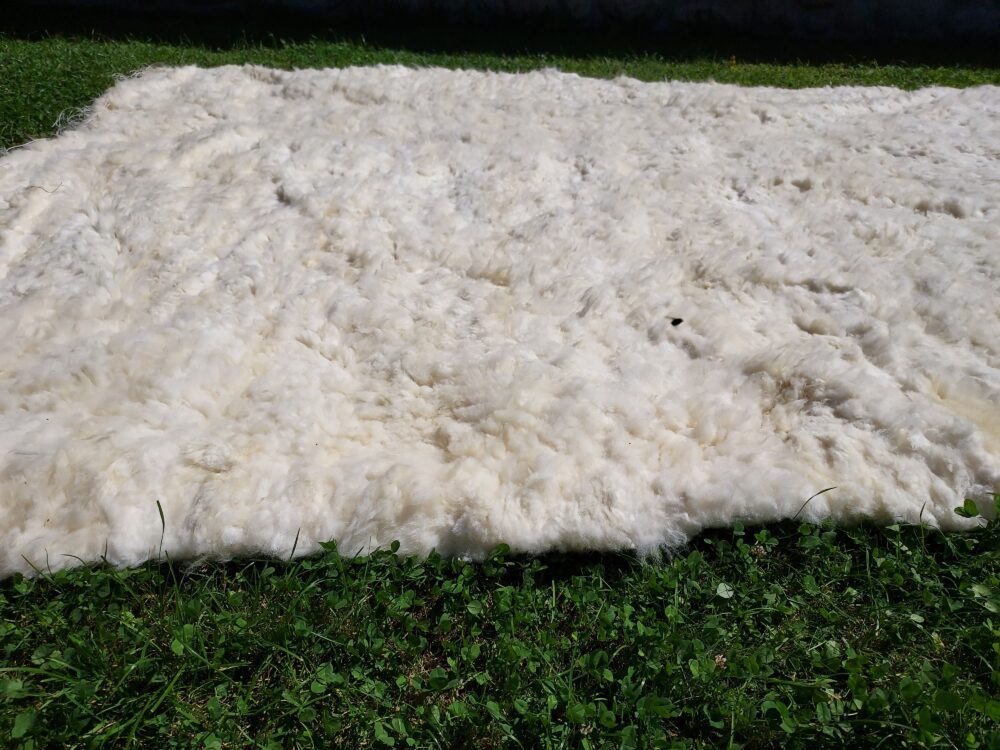 Woven Sheepskin Rug 300×200 White Bedspread Carpets and bedspreads Producent owczych skór dekoracyjnych | Tannery Sheepskin | KalSkór 8