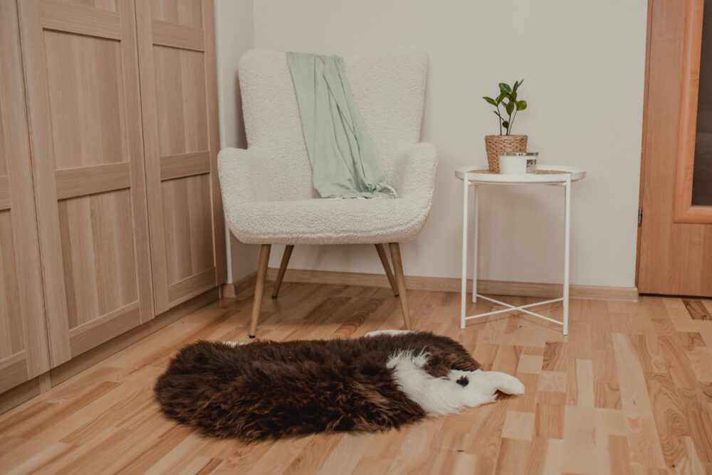 Lamb Natural Sheepskin Rug Accessories Producent owczych skór dekoracyjnych | Tannery Sheepskin | KalSkór 2