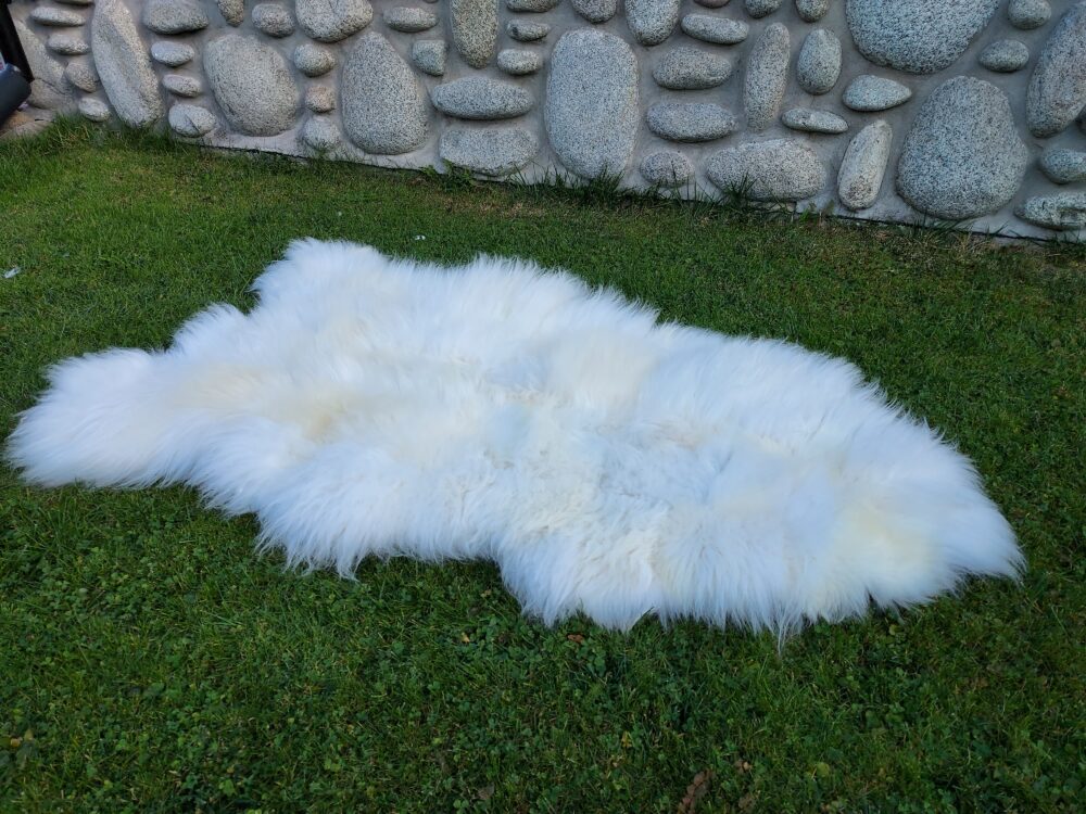 Sheepskin XXXL Giant 170 cm Natural Stitched RIVER Stitched sheepskins Producent owczych skór dekoracyjnych | Tannery Sheepskin | KalSkór 7