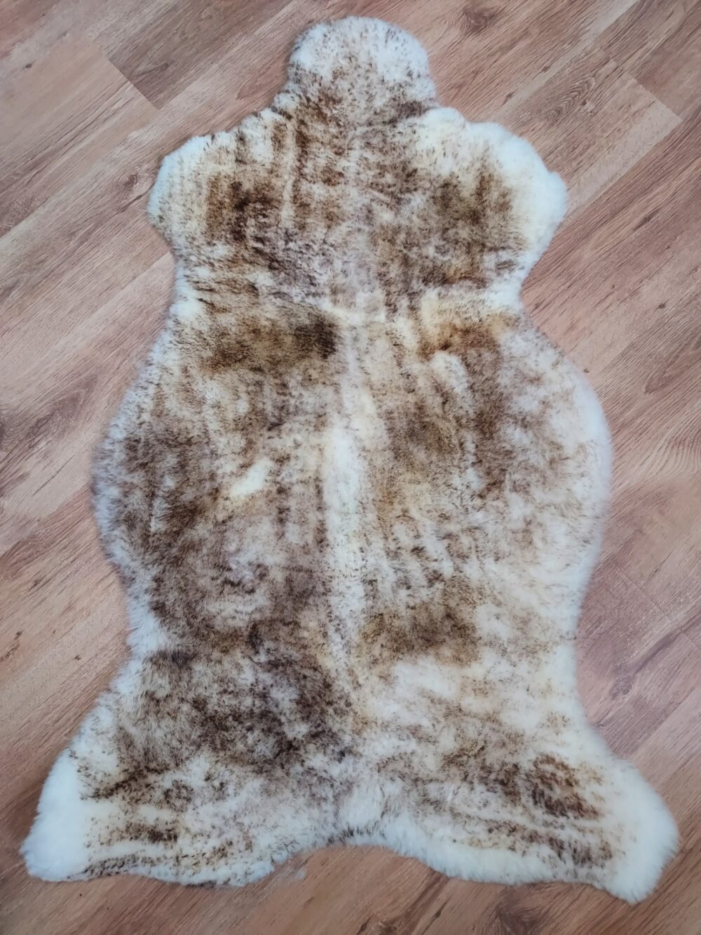 Skóra Owcza Muflon Brąz Krótki Włos Skóry Owcze Muflon Producent owczych skór dekoracyjnych | Tannery Sheepskin | KalSkór 4