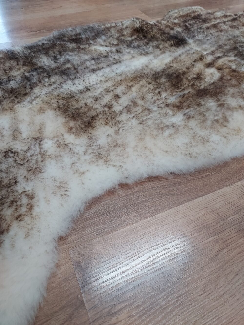 Skóra Owcza Muflon Brąz Krótki Włos Skóry Owcze Muflon Producent owczych skór dekoracyjnych | Tannery Sheepskin | KalSkór 5