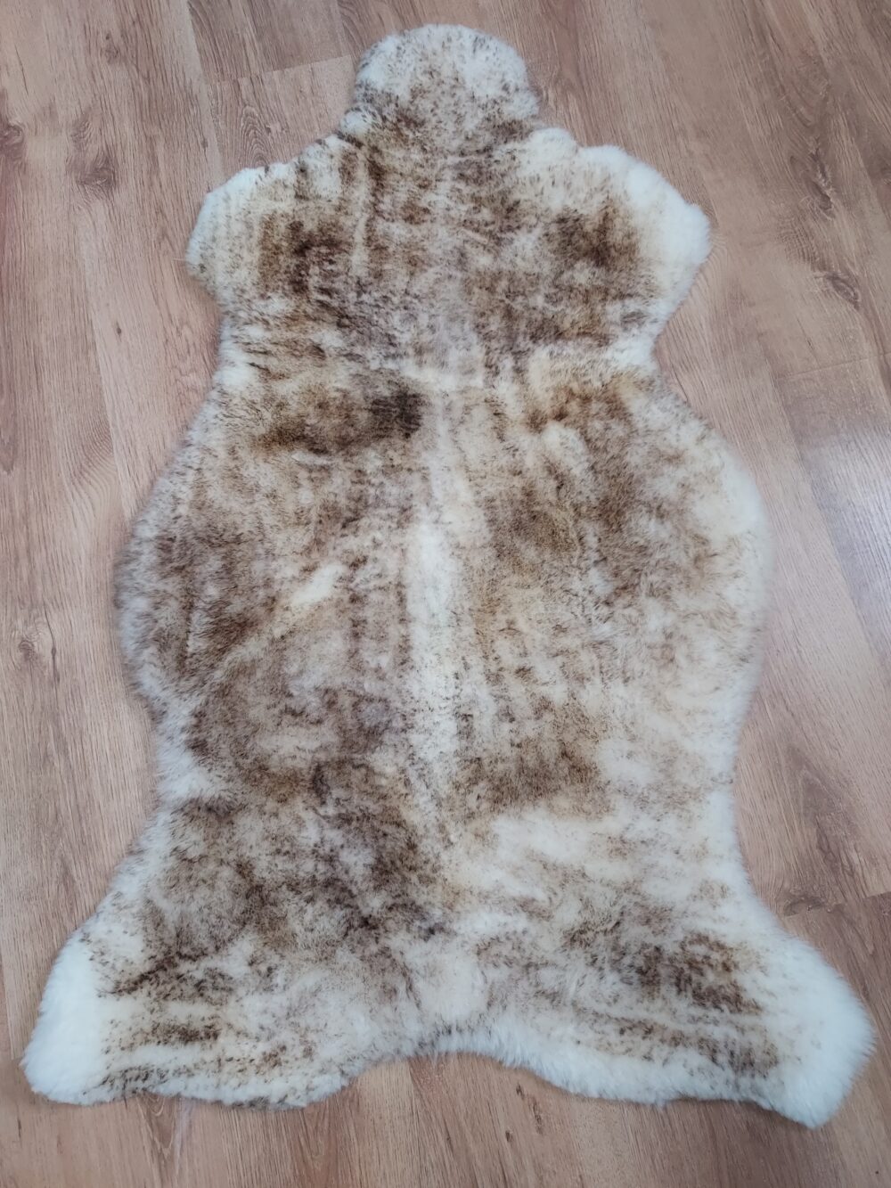 Skóra Owcza Muflon Brąz Krótki Włos Skóry Owcze Muflon Producent owczych skór dekoracyjnych | Tannery Sheepskin | KalSkór 8