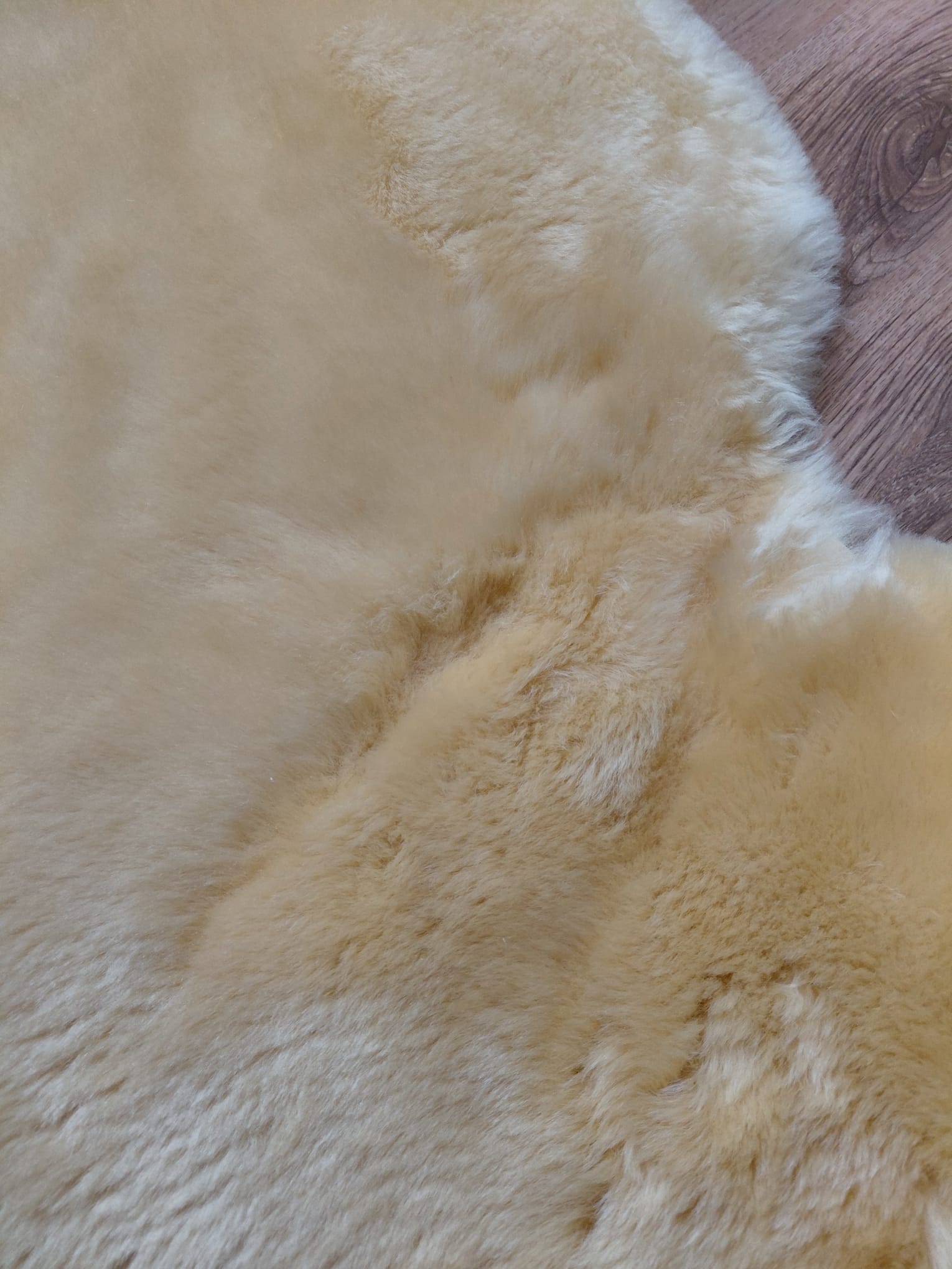 Damaged sheepskins Relugan broken sheepskin Producent owczych skór dekoracyjnych | Tannery Sheepskin | KalSkór 7 Damaged sheepskins Relugan broken sheepskin Producent owczych skór dekoracyjnych | Tannery Sheepskin | KalSkór 7