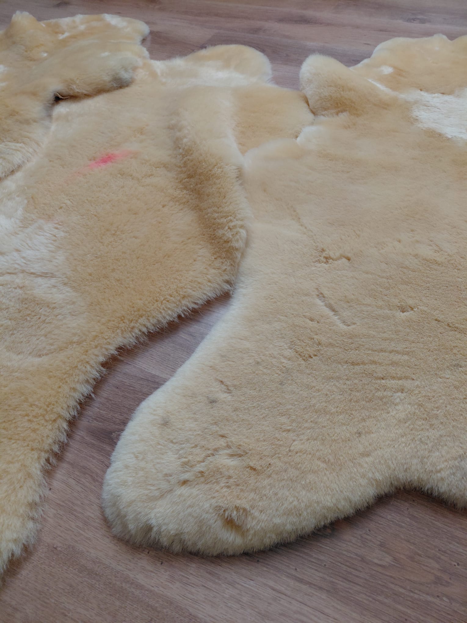 Damaged sheepskins Relugan broken sheepskin Producent owczych skór dekoracyjnych | Tannery Sheepskin | KalSkór 4 Damaged sheepskins Relugan broken sheepskin Producent owczych skór dekoracyjnych | Tannery Sheepskin | KalSkór 4