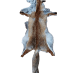 Red Fox Skin